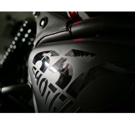Royal Enfield Shotgun 650cc NEMESIS
